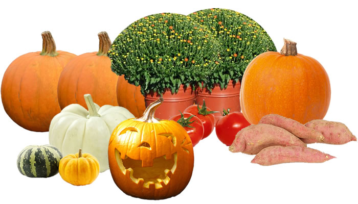 October Produce